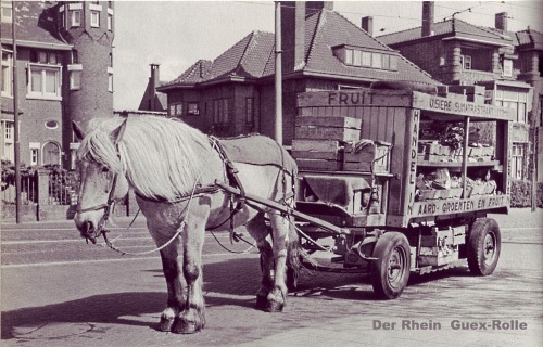 Pferdefuhrwerk am Niederrhein
