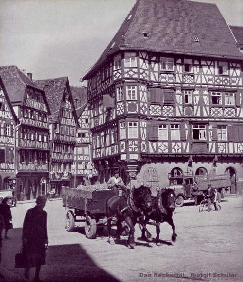Pferdefuhrwerk in Mosbach